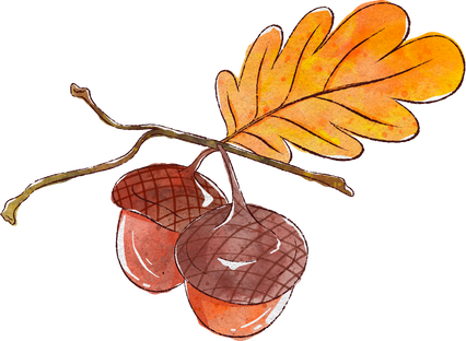 Splotchy Watercolor Fall Acorns